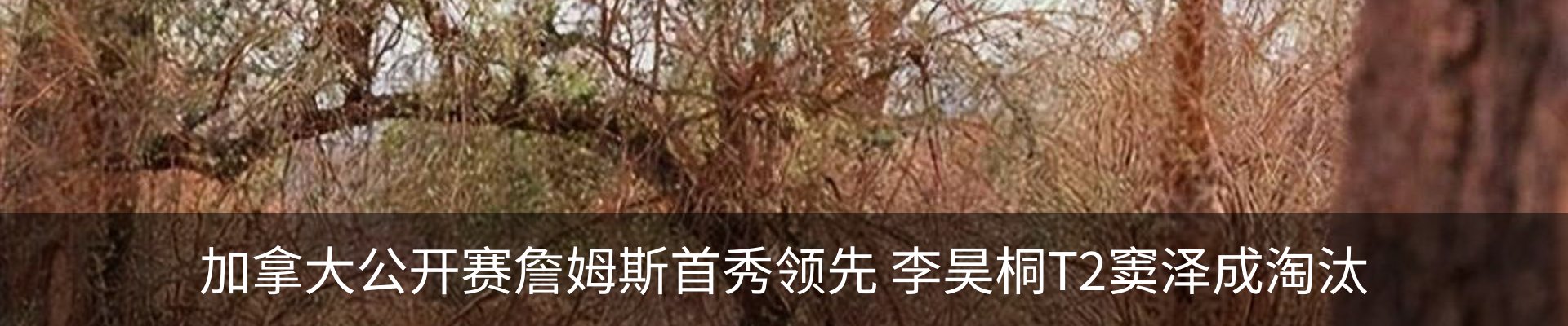 内页banner